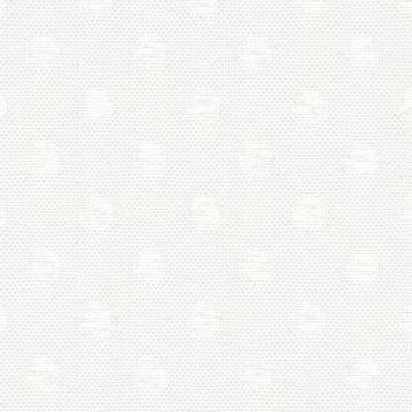 Ada White v4