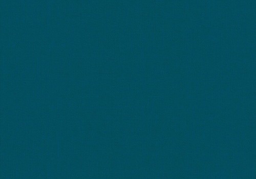 Bella Mambo Blackout