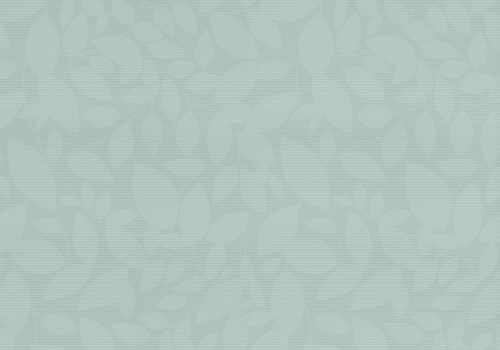 Isla Aloe Easy Care v2