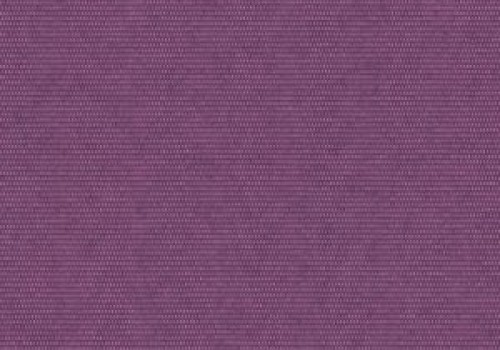 Palette FR Iris