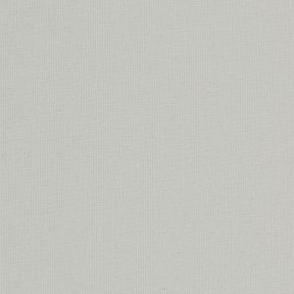 Polaris Grey