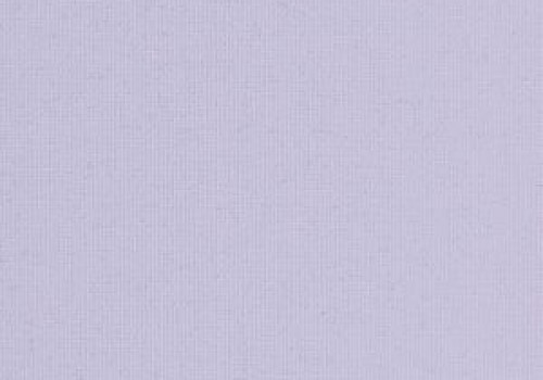 Polaris Lilac