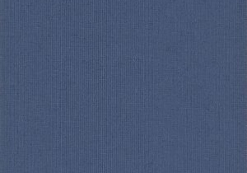 Polaris Navy