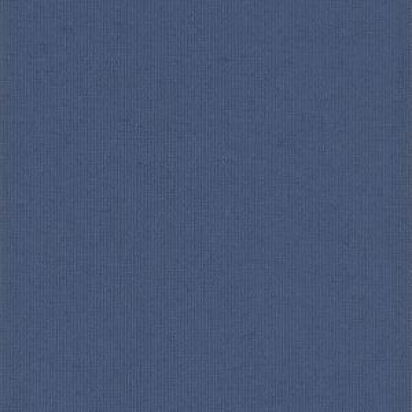 Polaris Navy