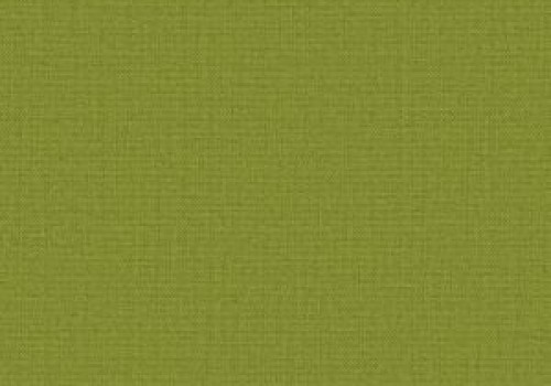 Polaris Olive v2