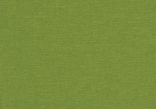 Polaris Olive