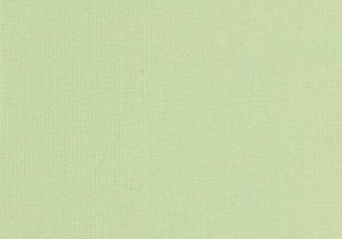Polaris Pear