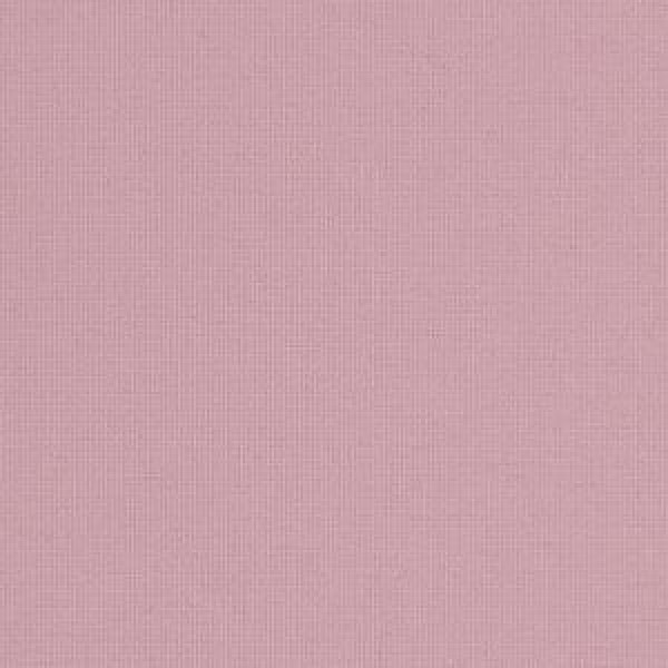 Polaris Rose