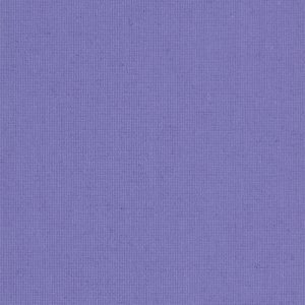 Polaris Violet