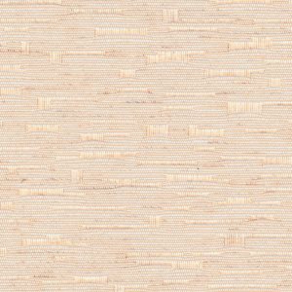 Stratford Apricot v2