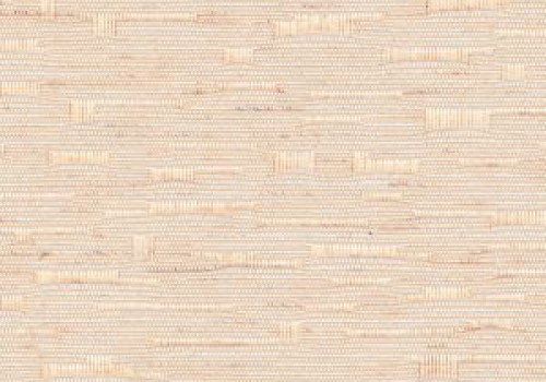 Stratford Apricot