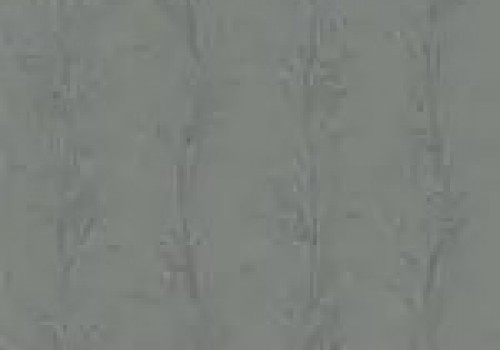 Treviso Graphite v3