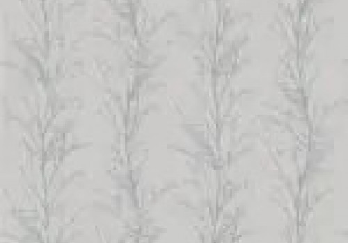 Treviso Shadow v3