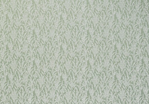 kairo pistachio