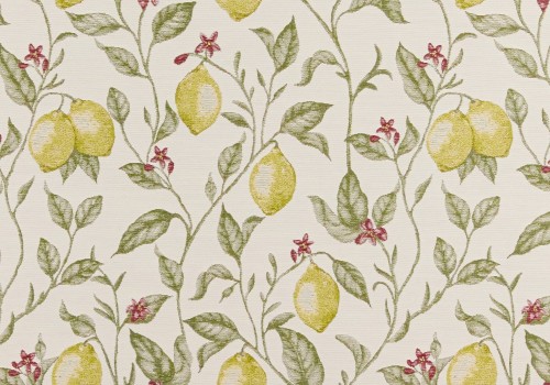 lemon grove dawn