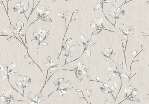 memento aurora Blackout